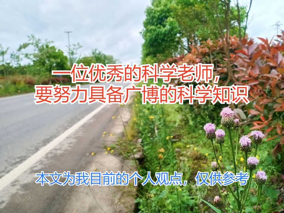 科学老师必备的素养,一位优秀老师应具有的品质
