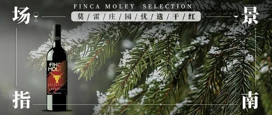 世界杯期间卡塔尔吃喝玩乐攻略,卡塔尔世界杯球迷餐