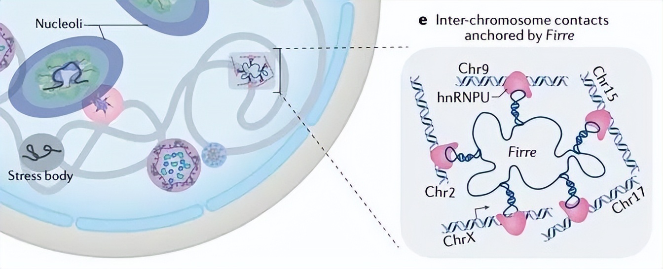 nature最新论文,nature论文最新发现