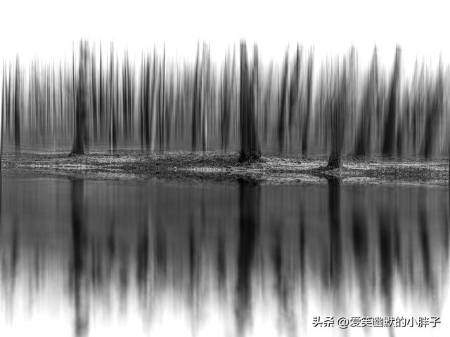 莫言小说诺贝尔文学奖,作家莫言在诺贝尔文学奖颁奖