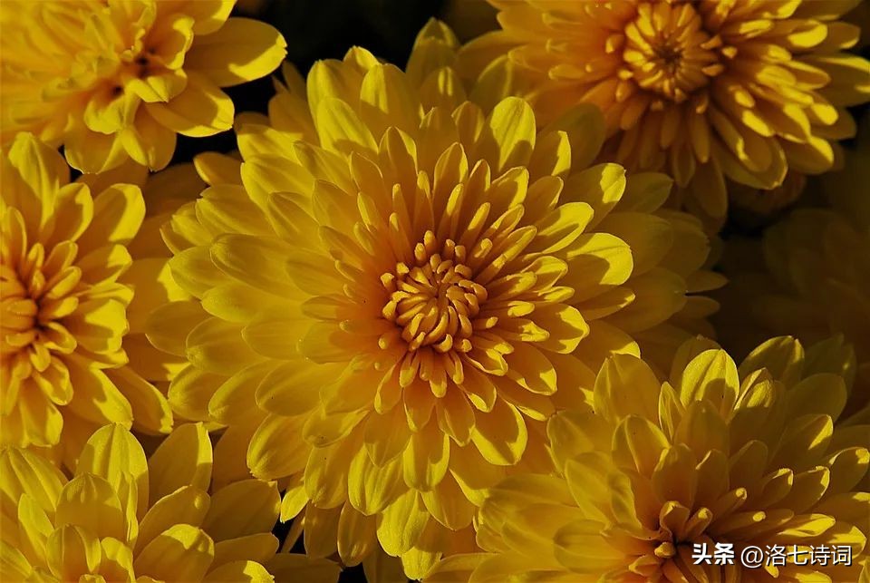 春晚赵丽颖满庭芳国色出场全过程,赵丽颖满庭芳国色是真唱吗