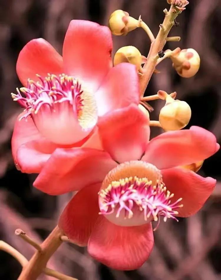 师傅说缘起缘落,师傅说缘浅的人去不了普陀山