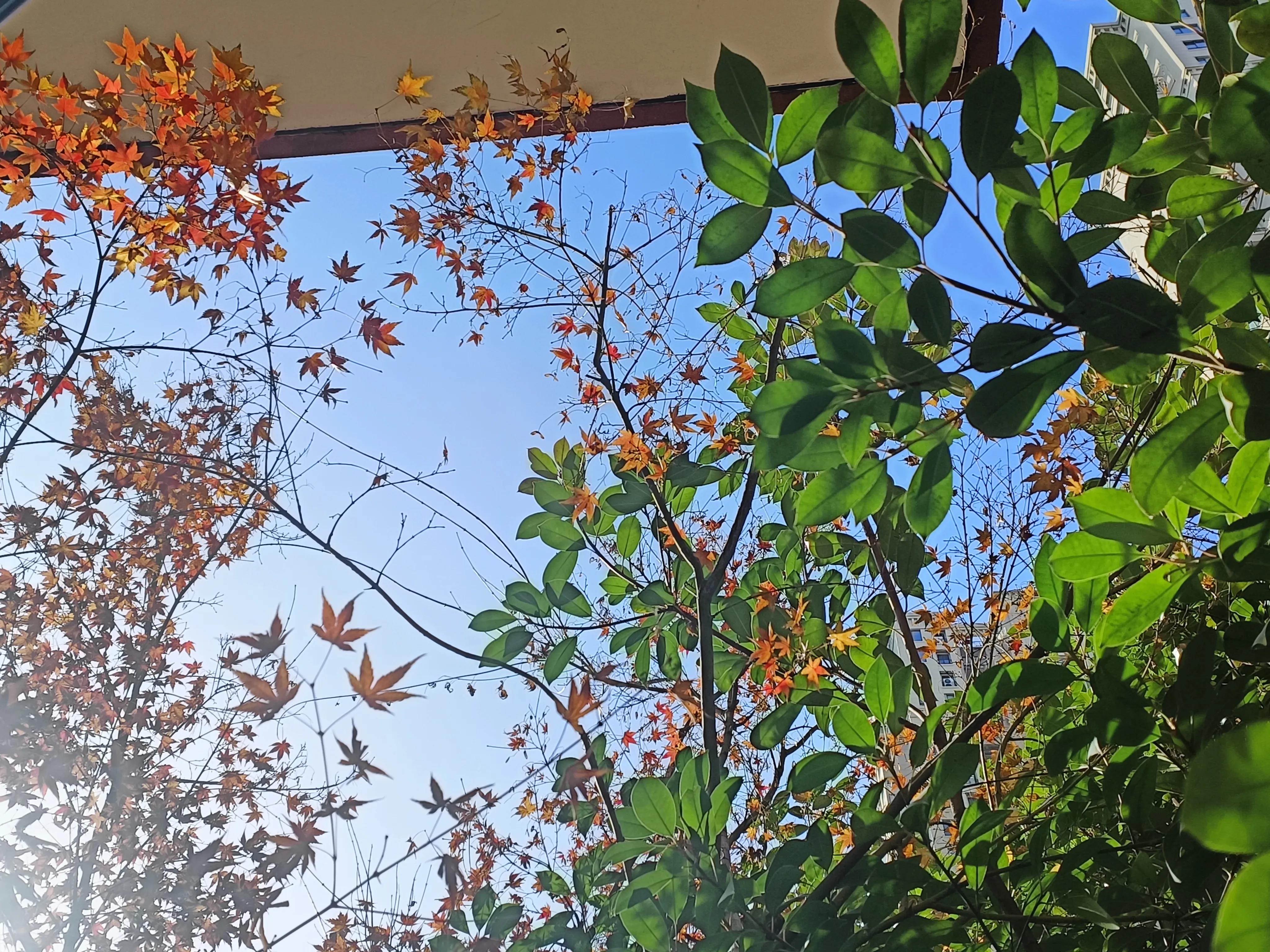 谁让我是天蝎座1