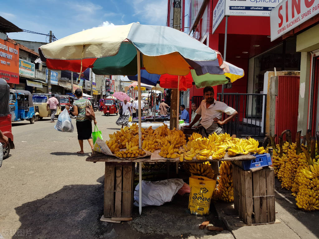 缅甸香蕉滞销怎么解决,为什么香蕉价格一直不好