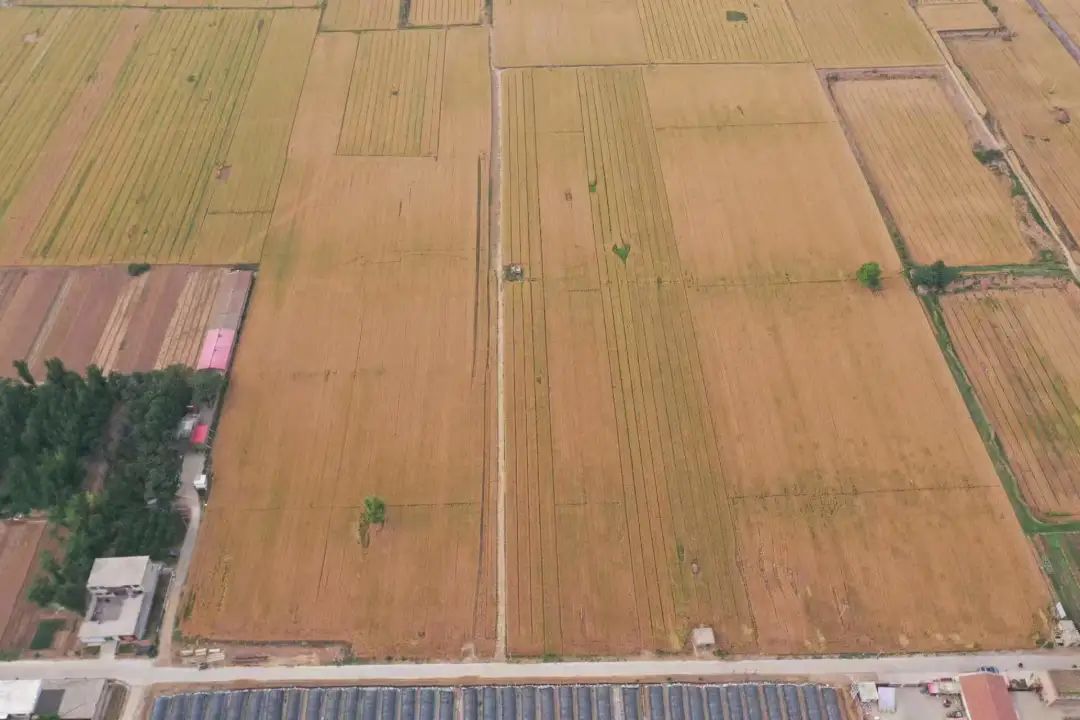 “邯郸民企之星”——磁县华威养殖有限公司董事长李研军