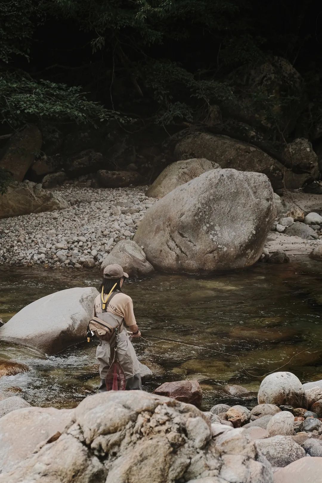 想学钓鱼新手需要买什么,新手学钓鱼最快的方法