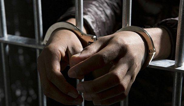 红毛猩猩被囚六年，培养成泄欲工具，身上溃烂也得接客