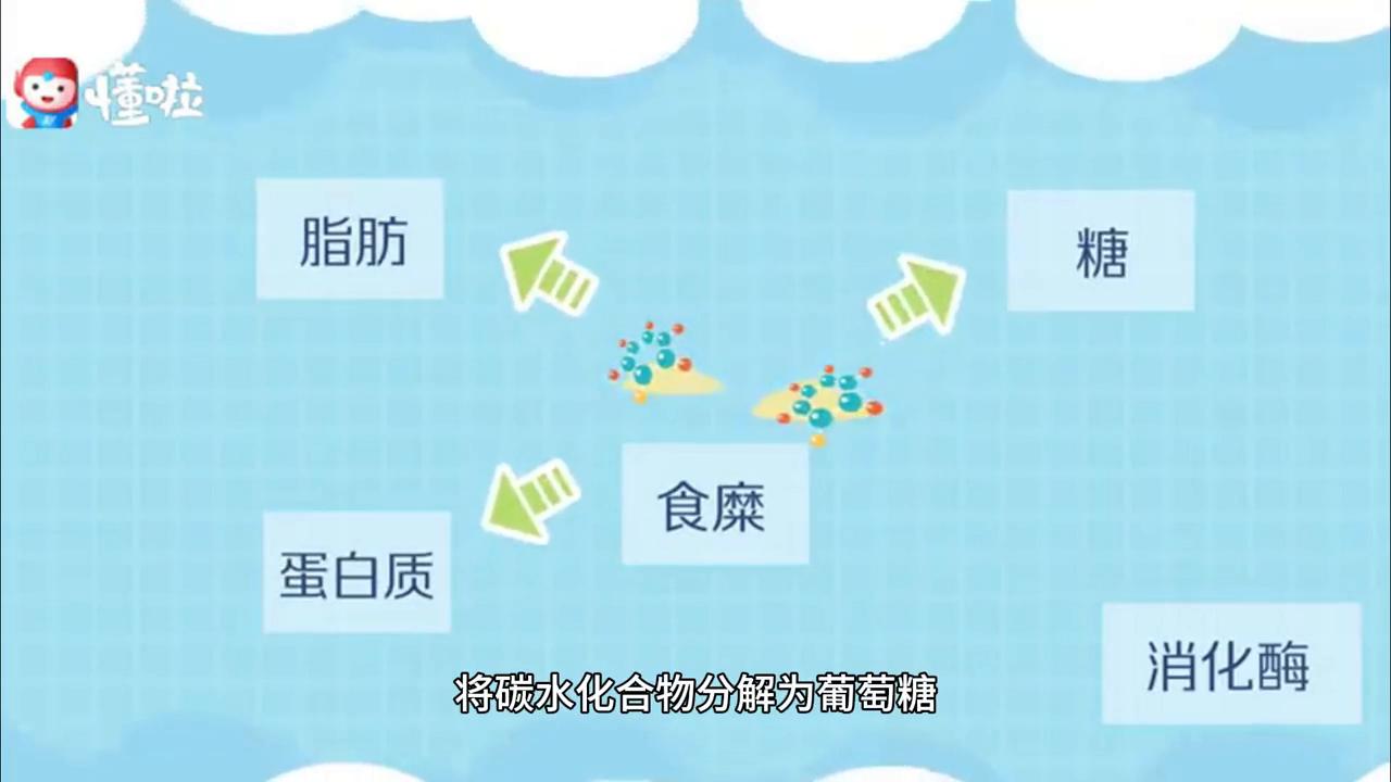 腹泻的时候为什么屁股要痛,腹泻屁股疼是什么原因