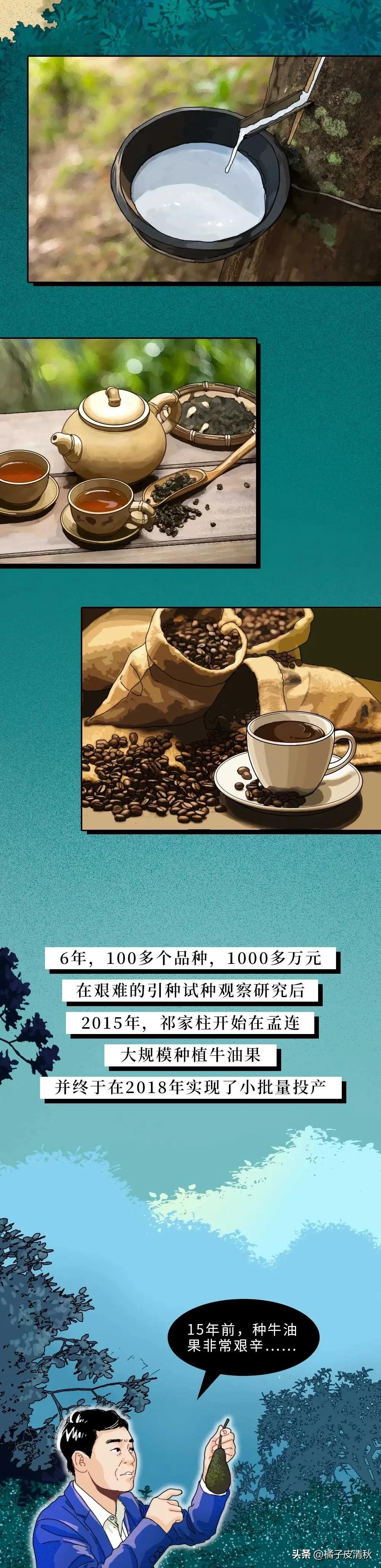 墨西哥进口牛油果,墨西哥牛油果云南