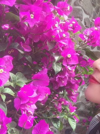 人约黄昏后月上柳梢头,人约黄昏后月上柳梢头视频素材