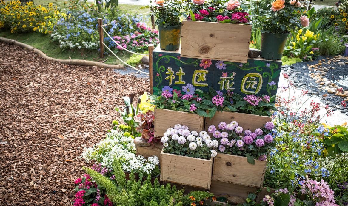 深圳行李寄存使用方法,深圳哪里可以寄存行李