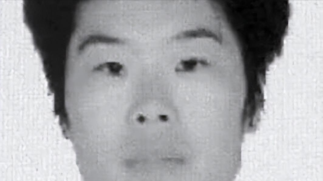 王云娜案件判刑名单,河北王云娜宣判