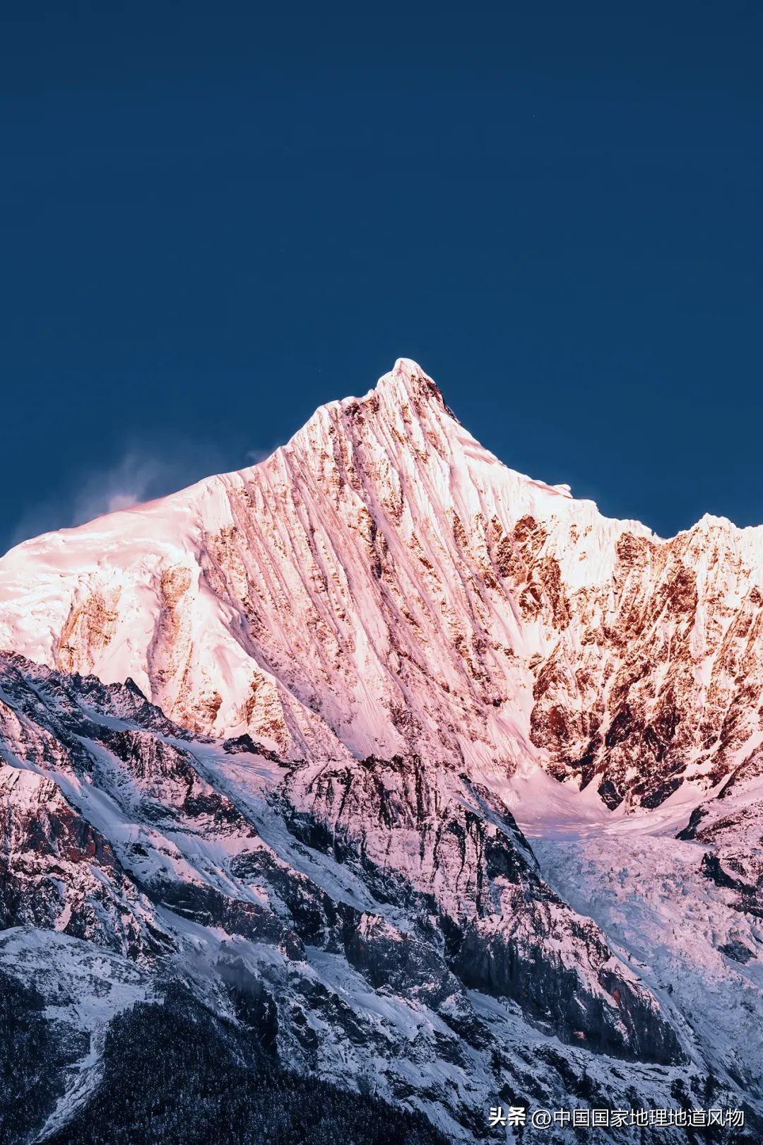 我国哪里盛产火龙果,全国最大的火龙果基地是哪里