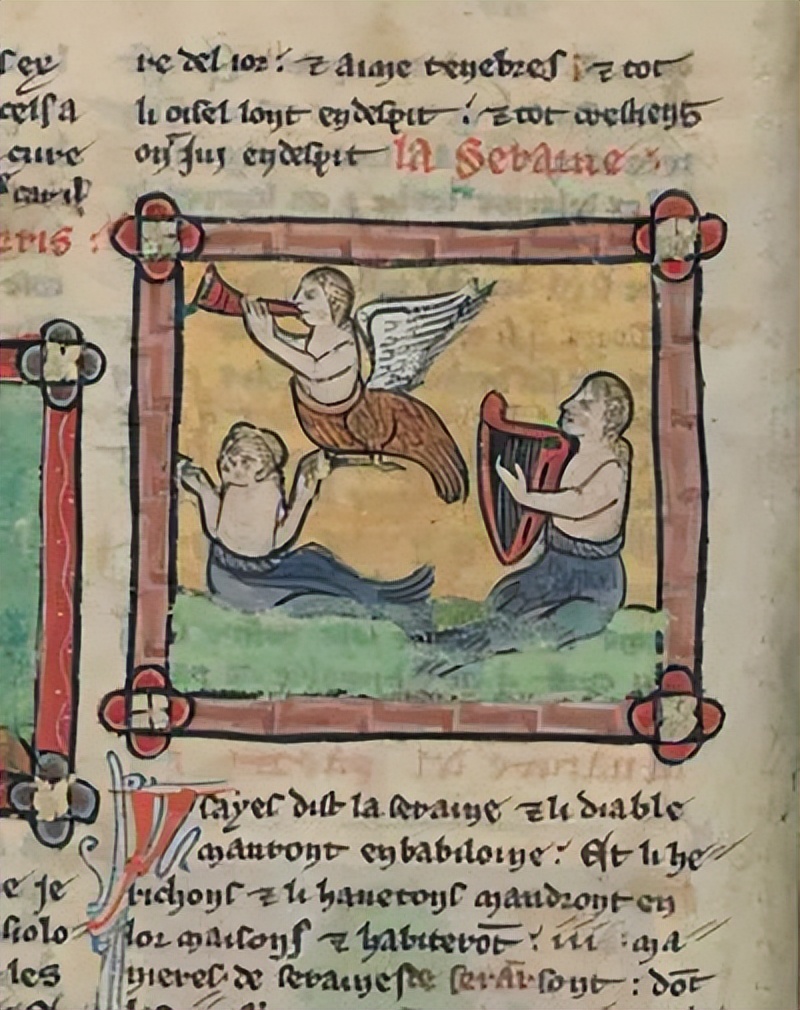 人鱼是怎样变成美人鱼的,丑人鱼变美长什么样子