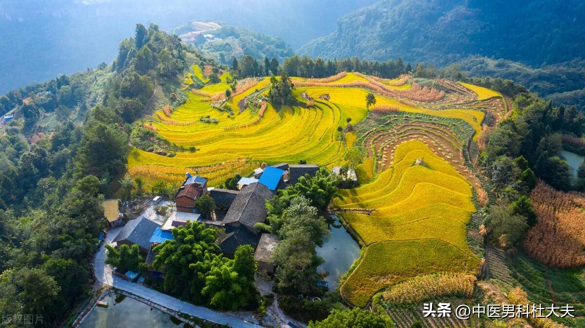 阳痿与肝火旺盛有关吗,肝郁气血不足引起阳痿