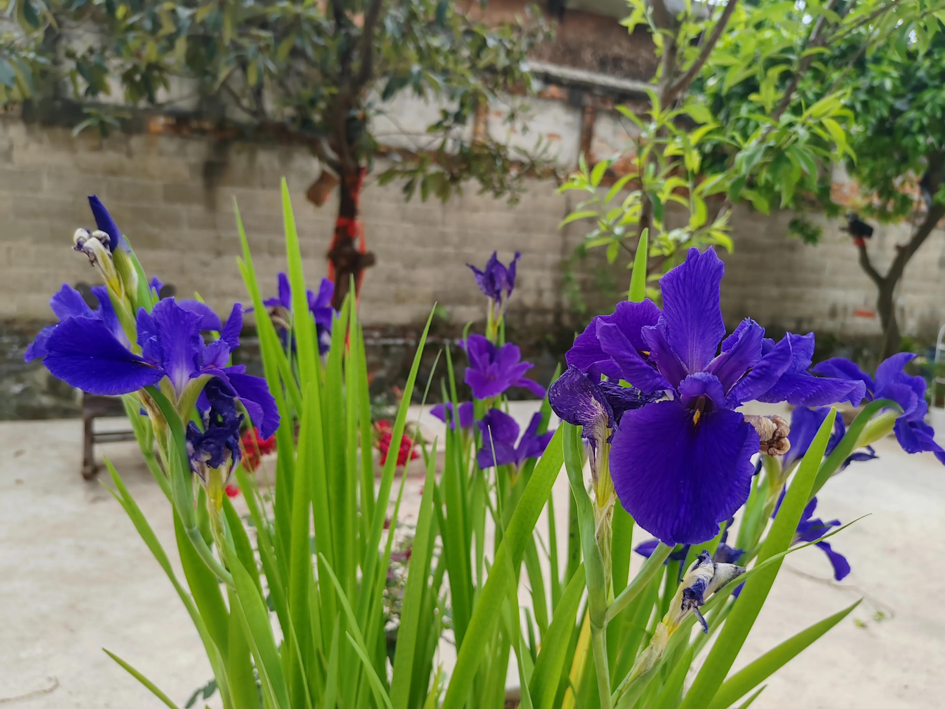 益阳刘公馆后人给先祖搬新家