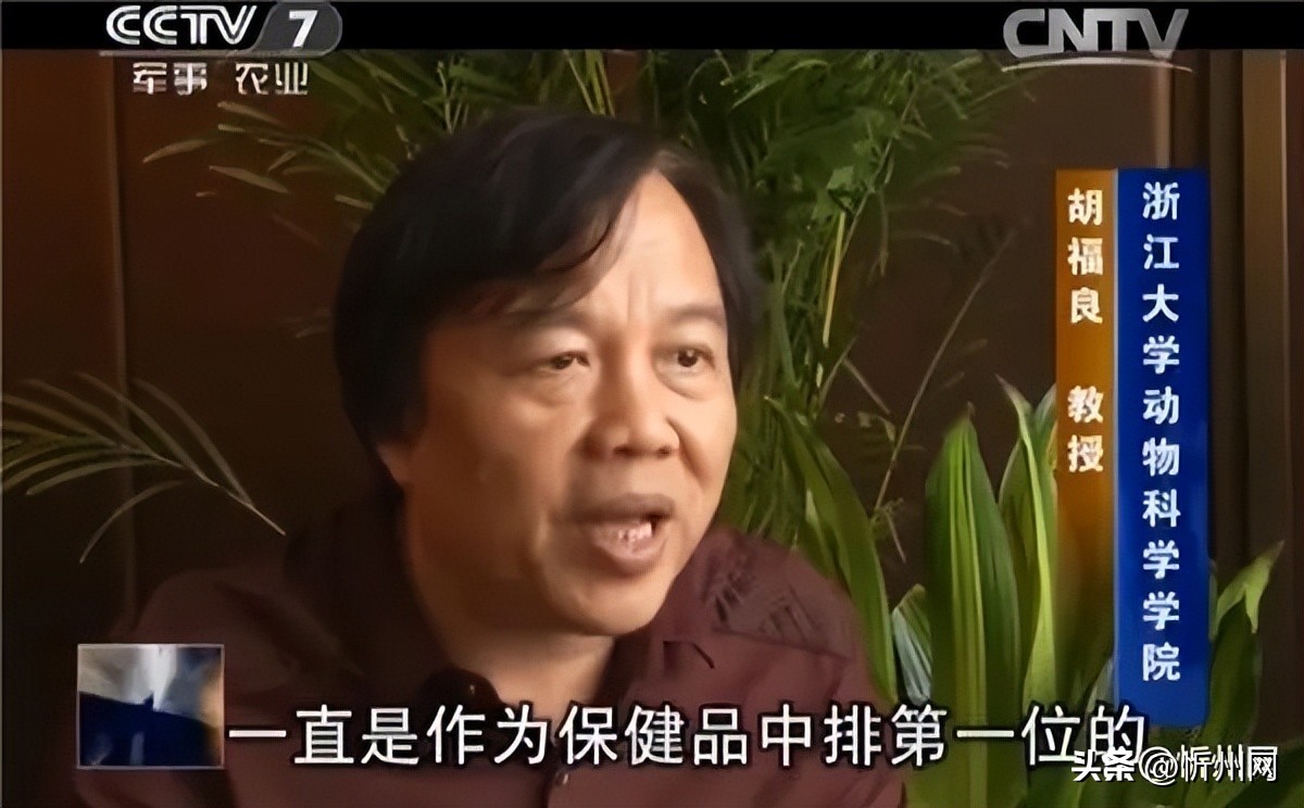 日本老人的长寿秘密,日本人长寿的奥秘发现之旅