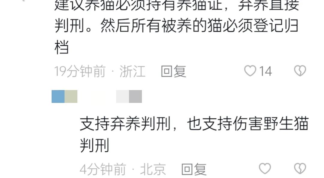 深圳弓箭射流浪猫警方介入,深圳男子用弓弩射杀流浪猫后续