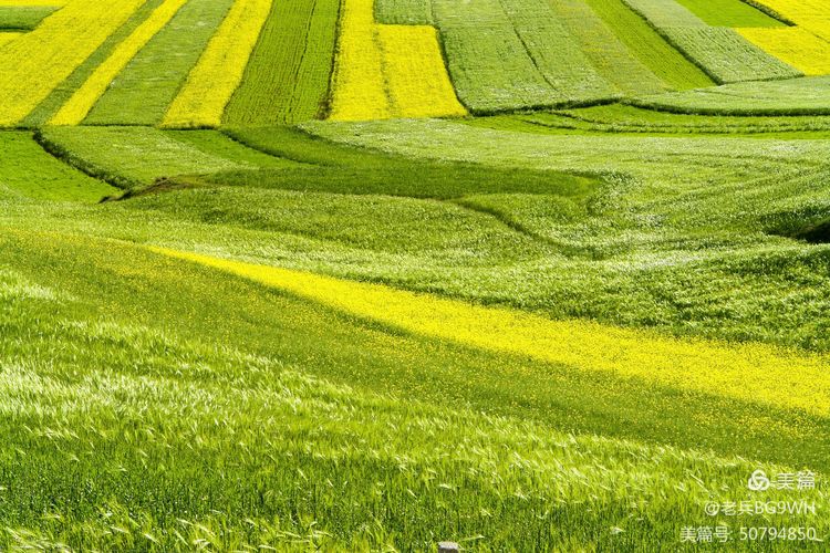 祁连山草原哪里最美,祁连山深处草原