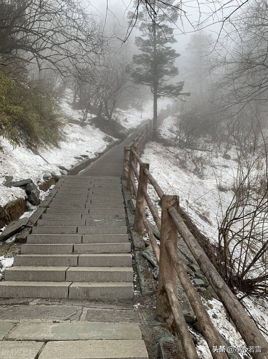 妙乐师父和虚云,虚云老和尚弟子妙乐法师