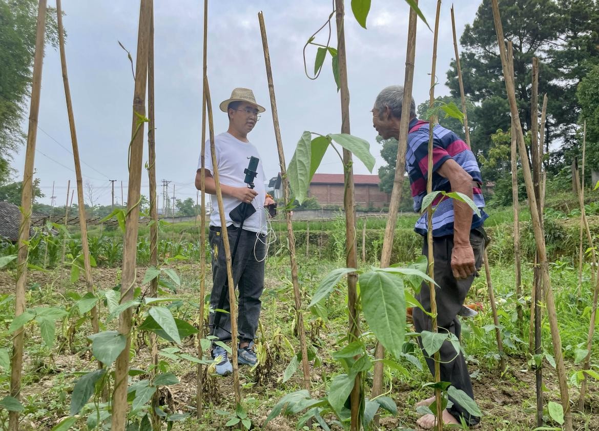 直播电商赋能乡村振兴的含义 (农村直播电商新纪元)