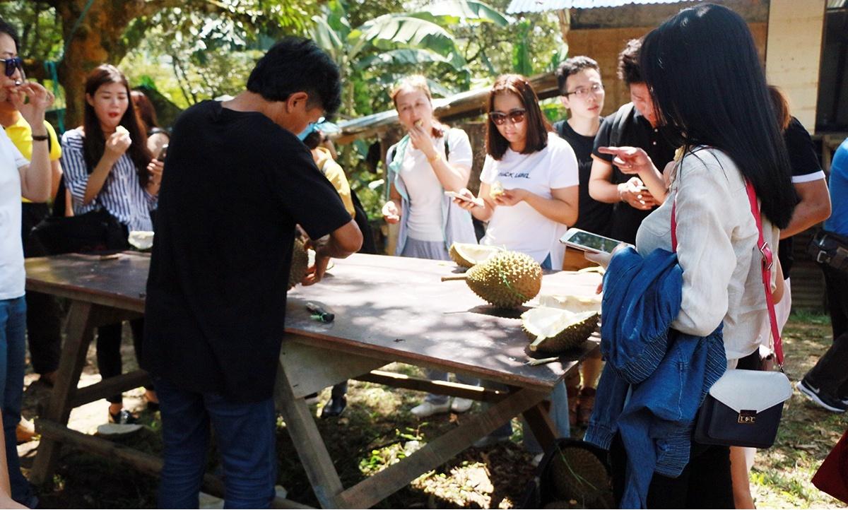 为实现“白菜价榴莲”，中国一直在努力！如今降价了值得高兴吗？