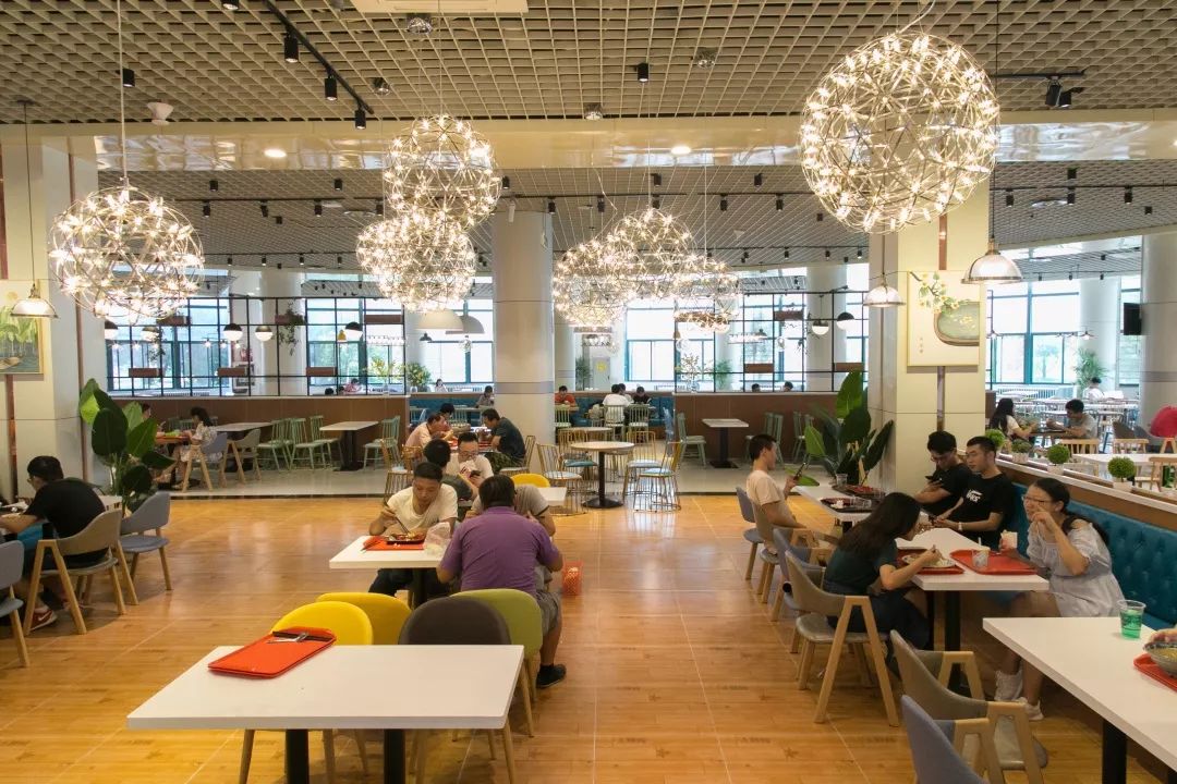 为什么叫中国石油大学,为什么报石油这个专业