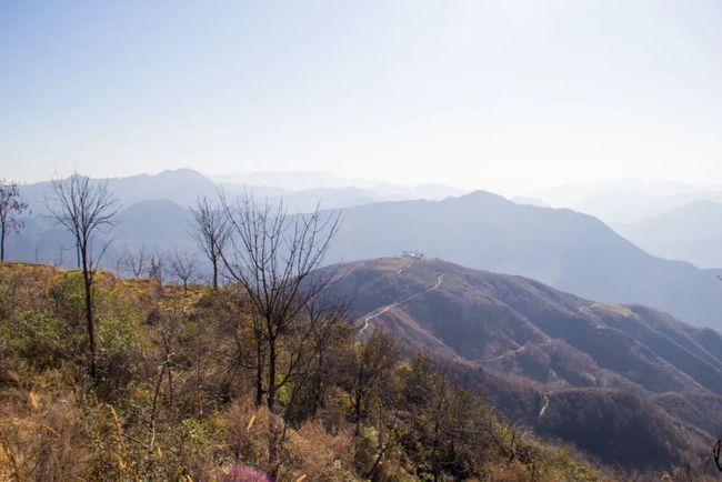 镇安海棠山山顶村子,秦岭关中深山最真实的老房子