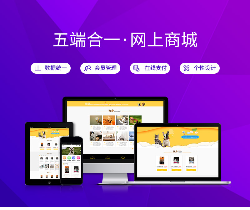 购物网站开发测试的目的,购物网站开发的需求分析