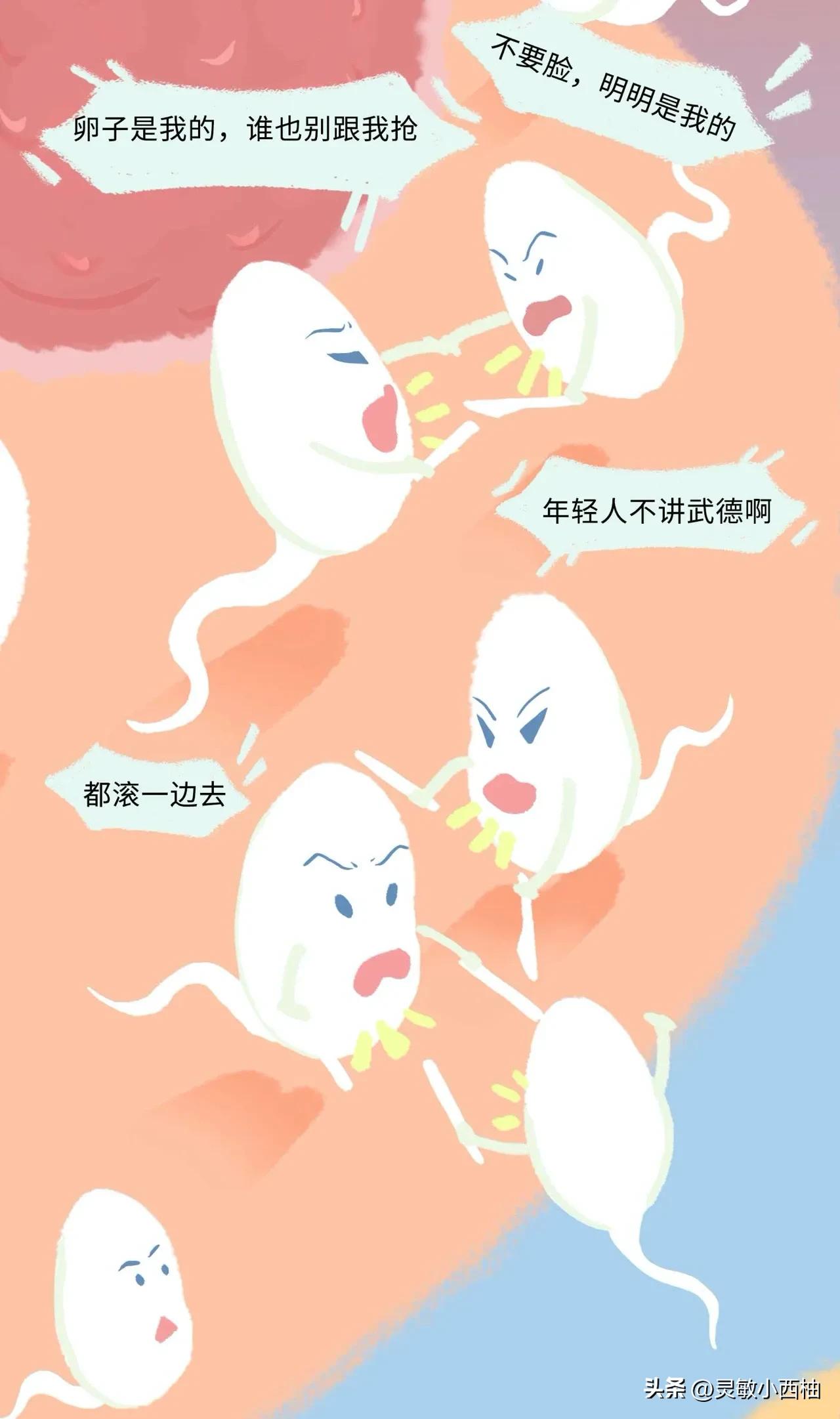 （漫画）精子进入女性体内的全过程，真的太神奇啦