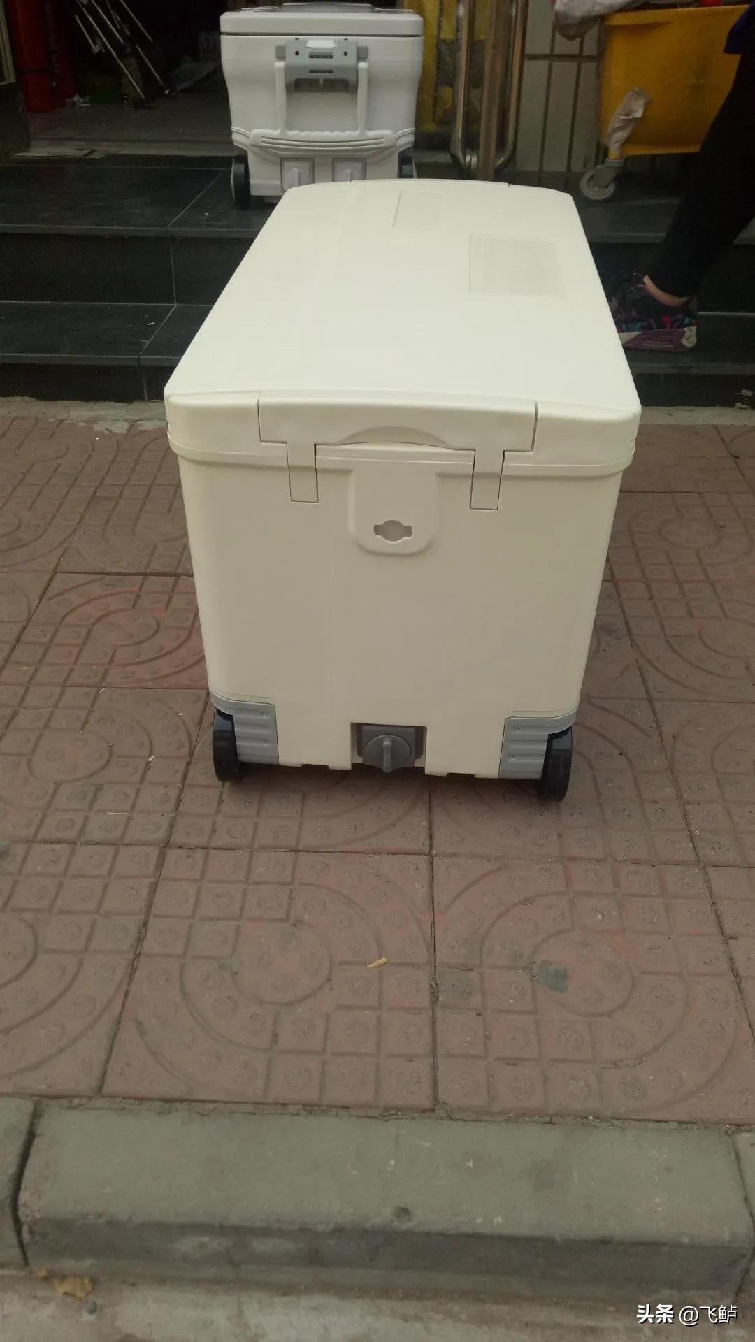 新手入坑台钓钓鱼,新手钓椅推荐