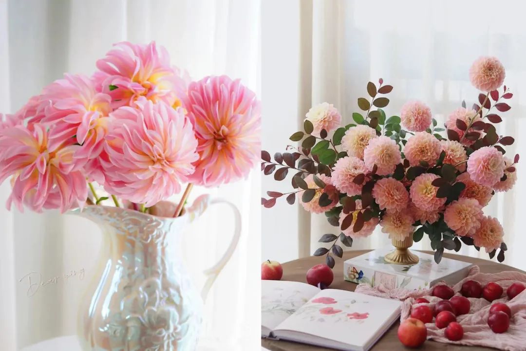 又又又被美到！10款秋日的花果叶，打包了最斑斓的秋色