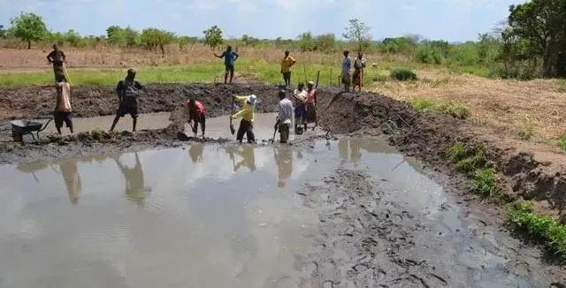 对虾肝肠孢虫脱离宿主能存活多久,福建对虾肝肠孢虫处理方案