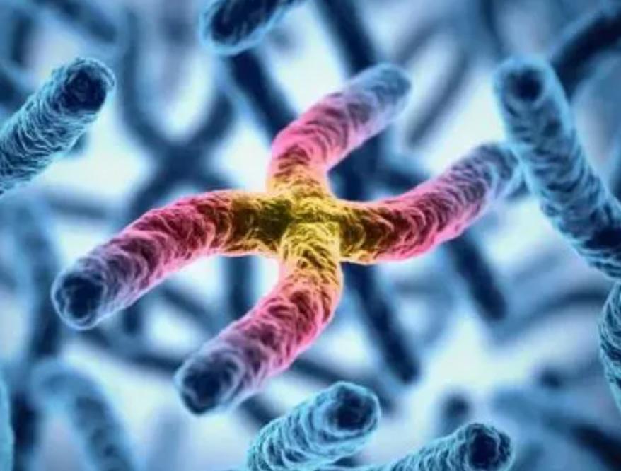 牙龈纤维瘤是肿瘤吗,牙龈纤维瘤会遗传给下一代吗