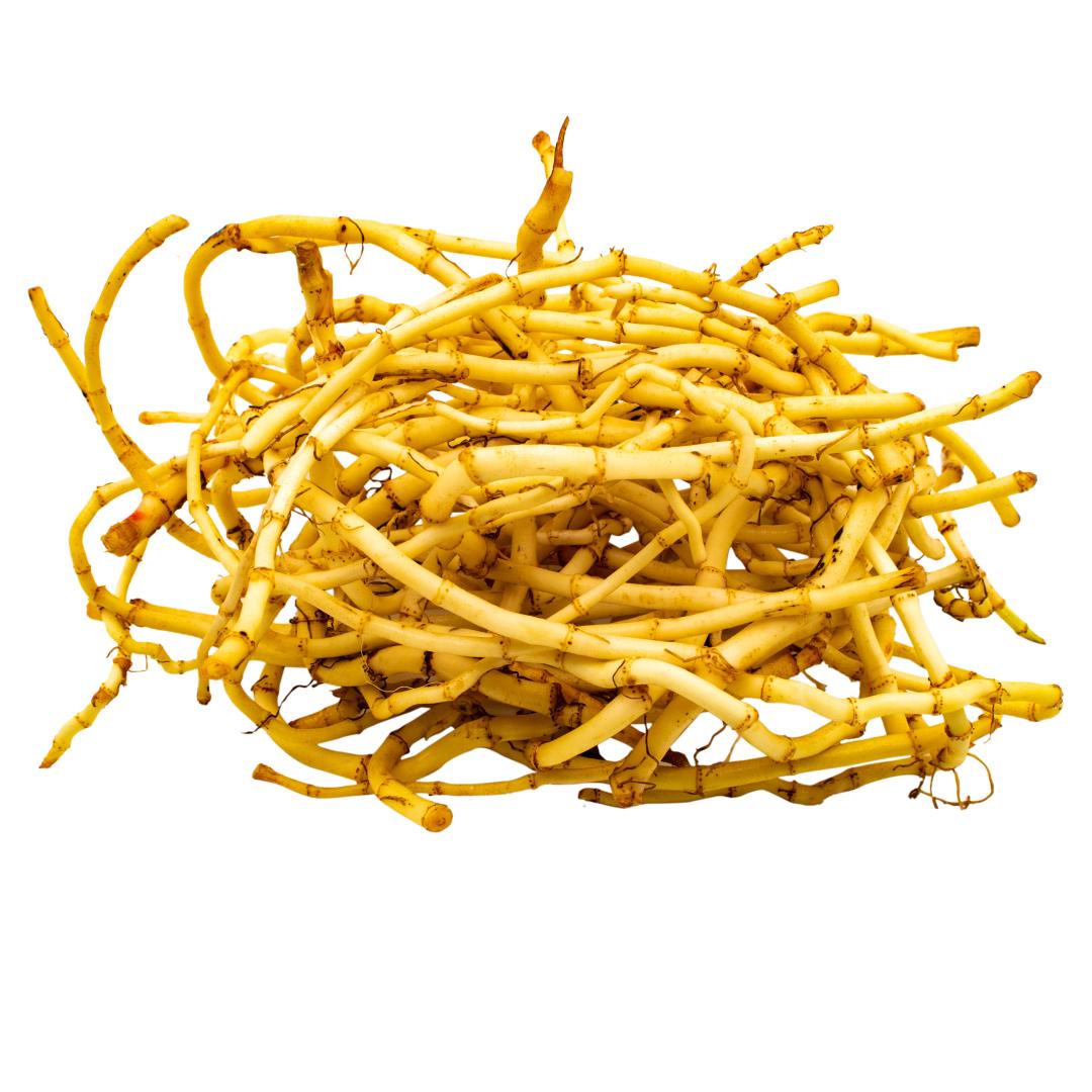 注意！这5种春菜要当心！吃对是美味，吃错是“毒药”