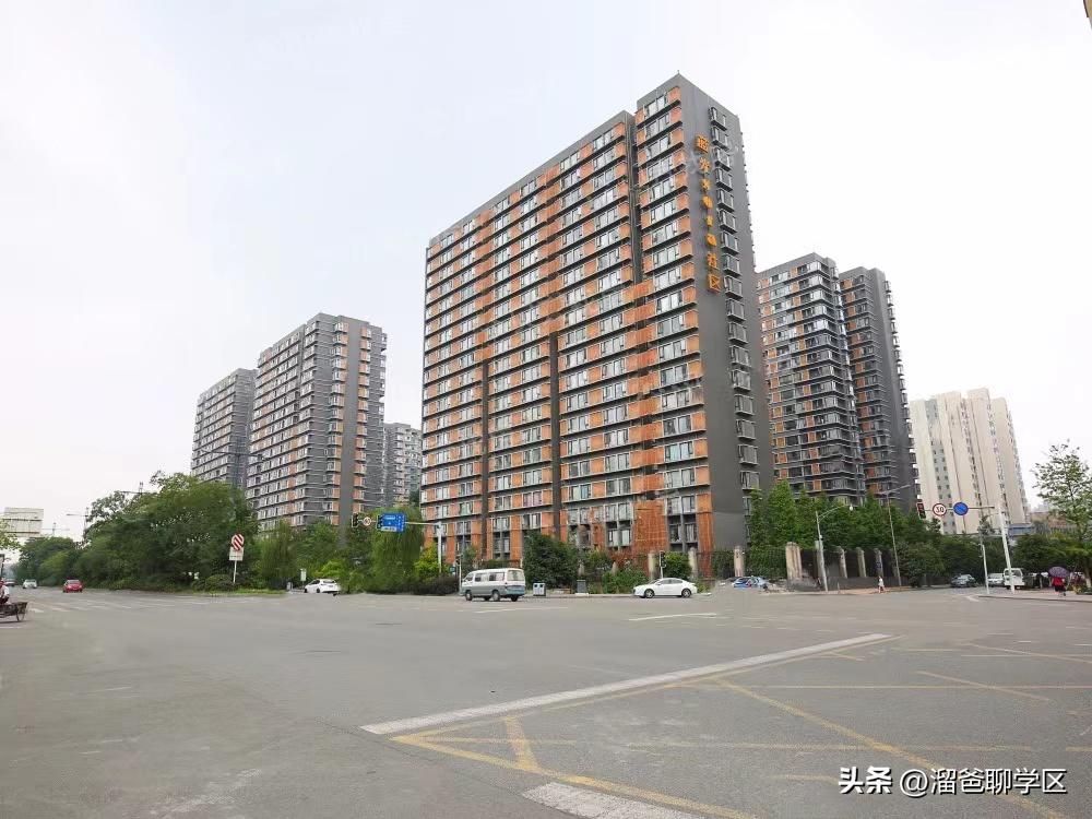 草堂子美,草堂子美怎么样