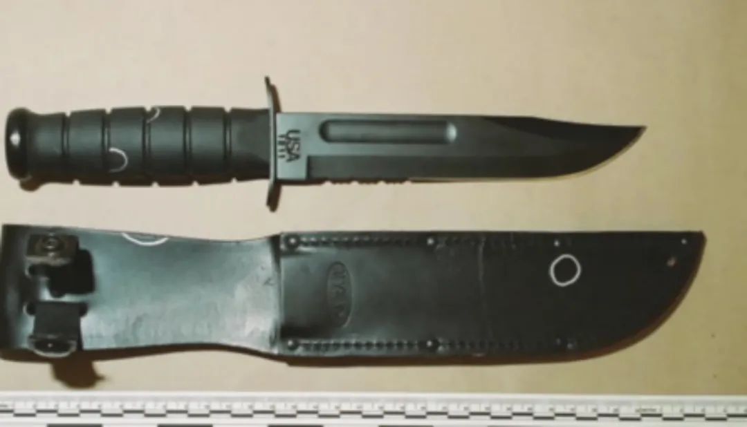 加拿大青年网恋美艳女郎神秘失踪,竟落入恐怖片导演的圈套