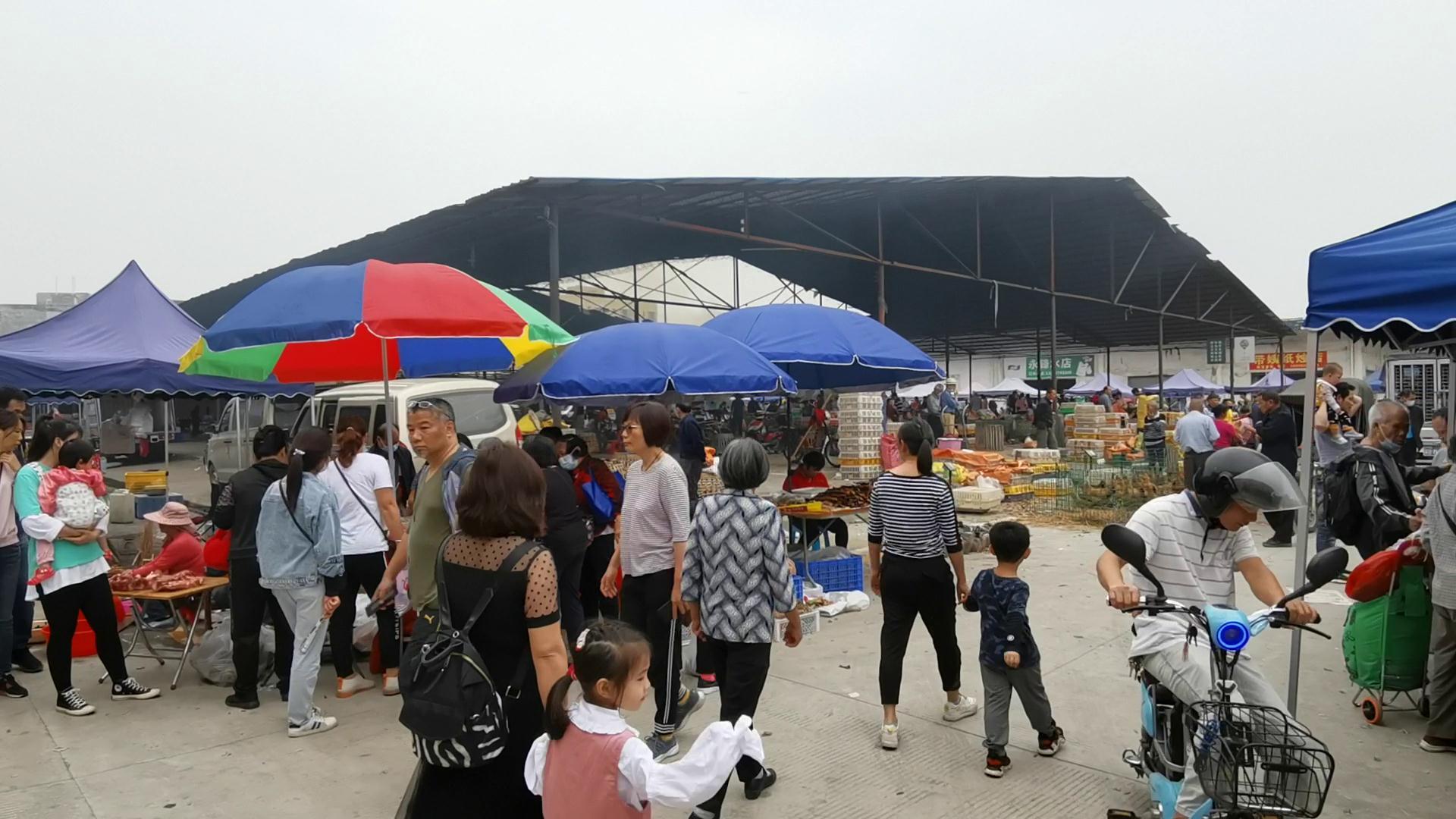 你有多久没“趁墟”了？看看广州以及周边有哪些热闹的传统墟市