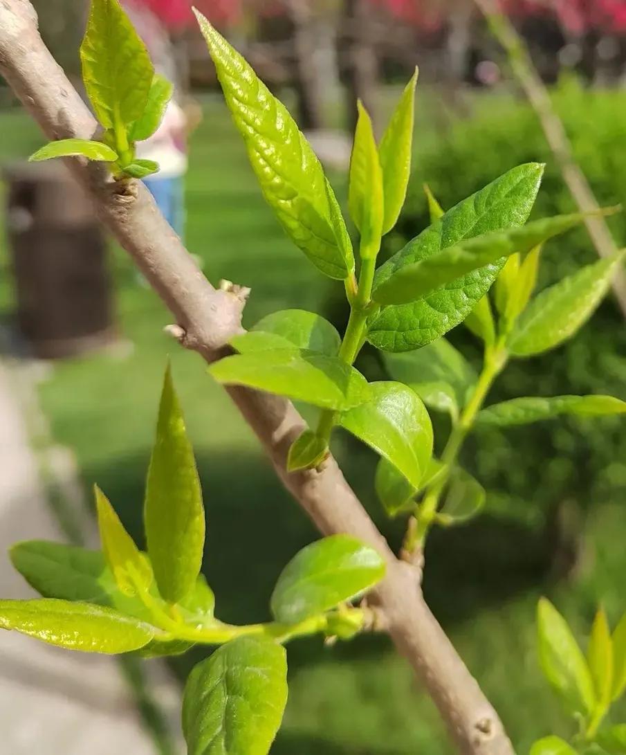 人生哲理意境文字,真字人生哲理