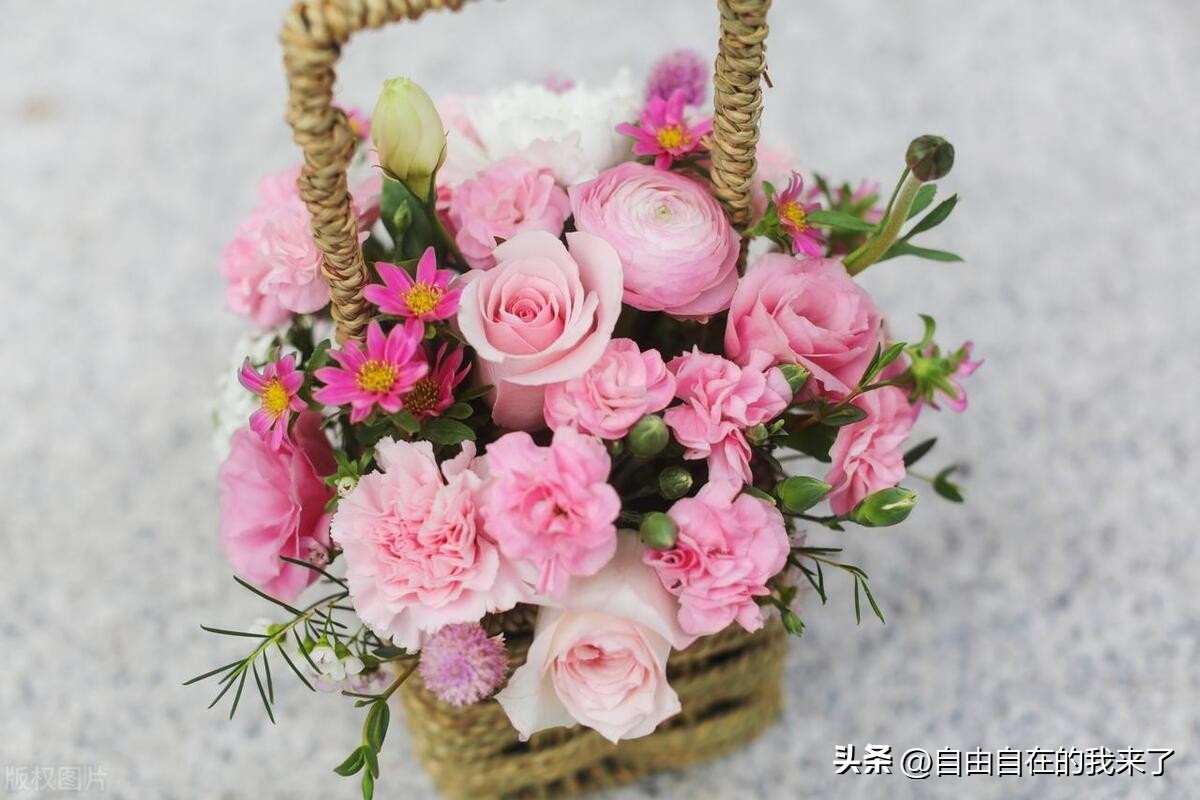 猫咪感冒发烧保险能不能用,猫咪感冒主人花了五六千没治好