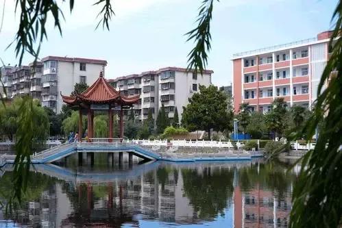 阜阳一中高二,阜阳一中清华北大有几个