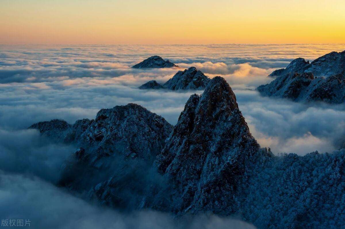 证券开户万一免五在哪里开,证券开户万一全免半免