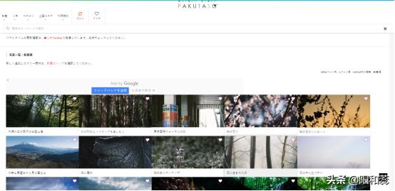 有什么图片素材网站,国外免费图片素材网站
