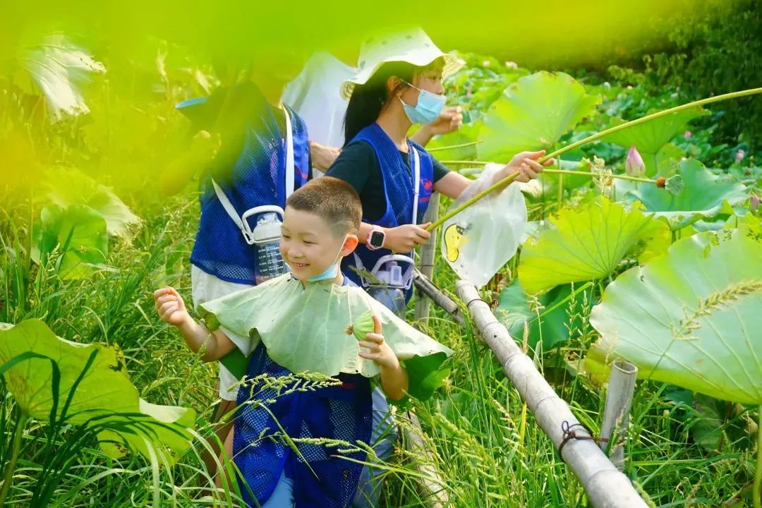 武汉武汉市妮8家的民宿,武汉附近吃住玩一条龙服务的民宿
