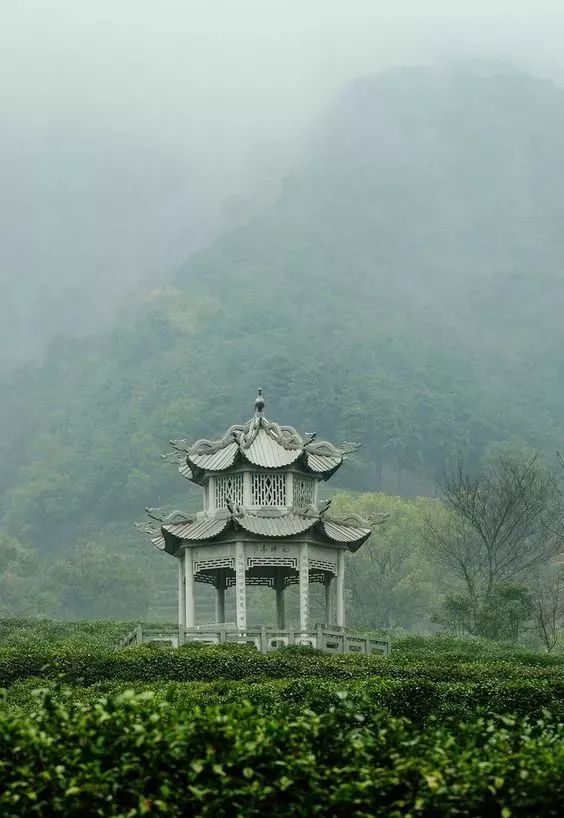 刚试了一下中华文字果然博大精深,涨知识了快来看看中国文字的魅力