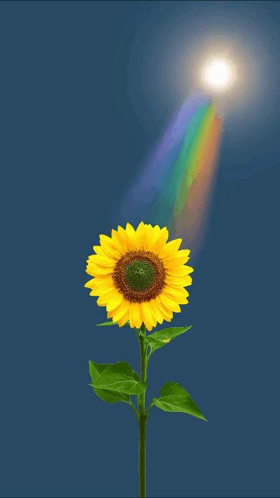 逛街逛得心慌,逛街逛得累应该回什么