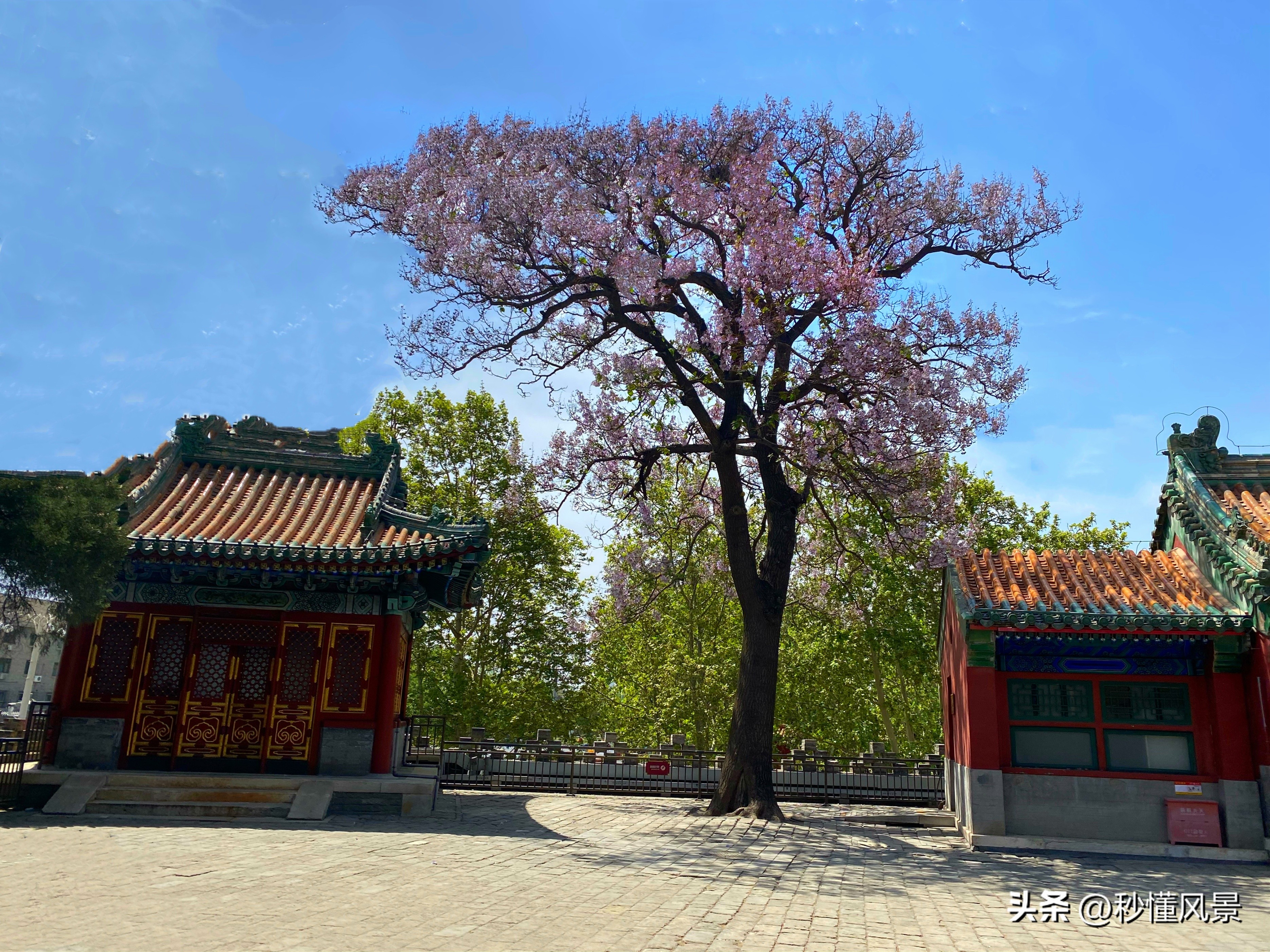 北京最小的城堡，藏于闹市适合遛娃拍照，人少景美还有泡桐花海！