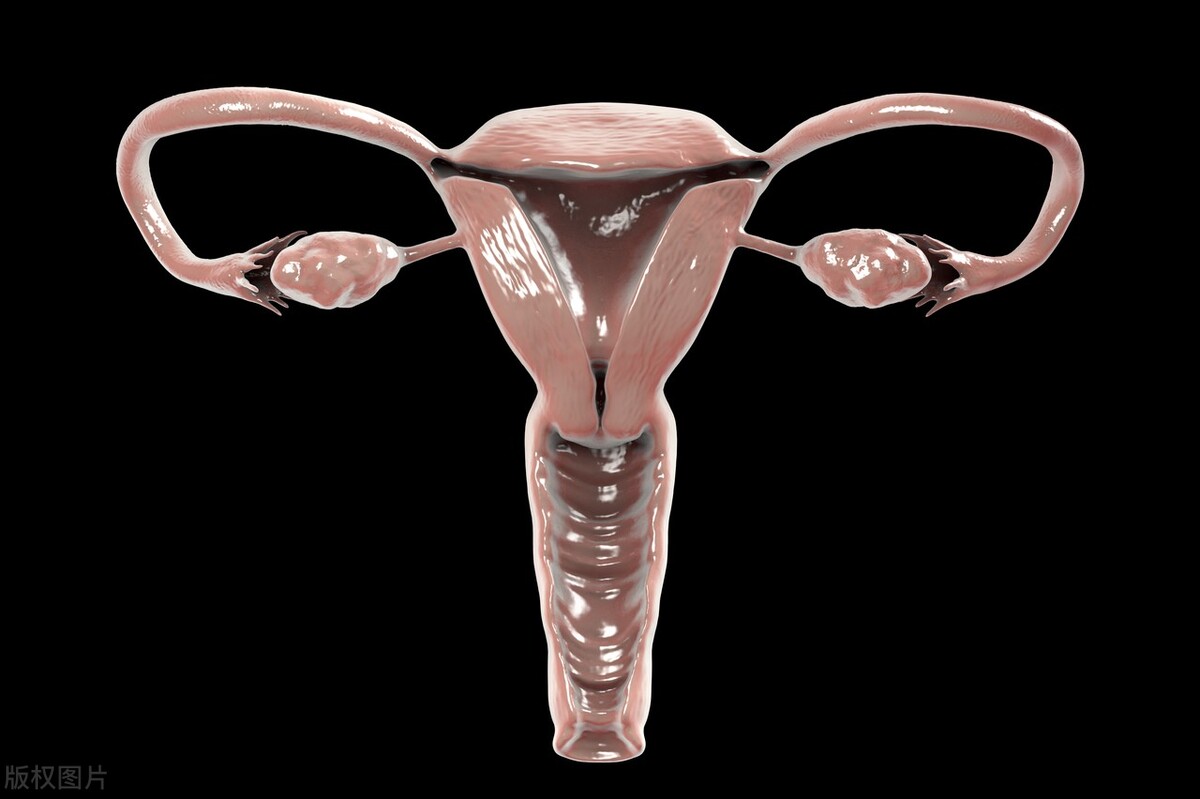 宫腔粘连术后恢复怎么备孕,备孕发现粘连带宫腔镜检查能做么