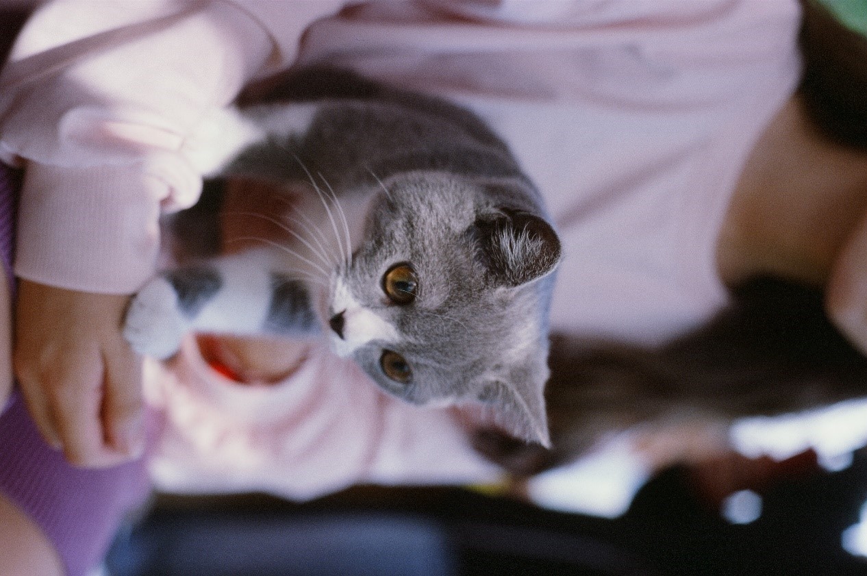 最近很火的反转剧情视频,最近很火的反转视频素材