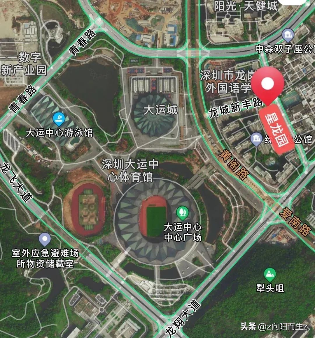 龙岗星龙园,大运星龙园